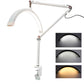 Lampada Moon Curva con Morsetto